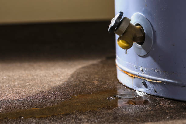 Best Residential water damage restoration  in Fairhope, AL