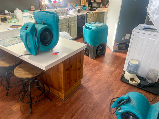Best 24-hour water damage restoration  in Fairhope, AL