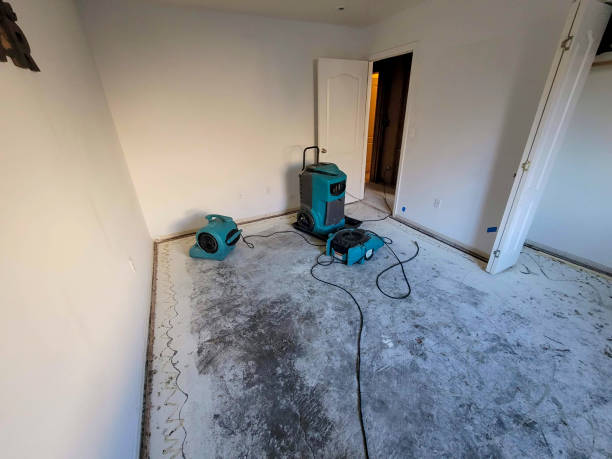 Best Emergency water damage restoration  in Fairhope, AL