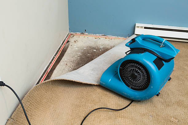 Best Flood damage cleanup  in Fairhope, AL
